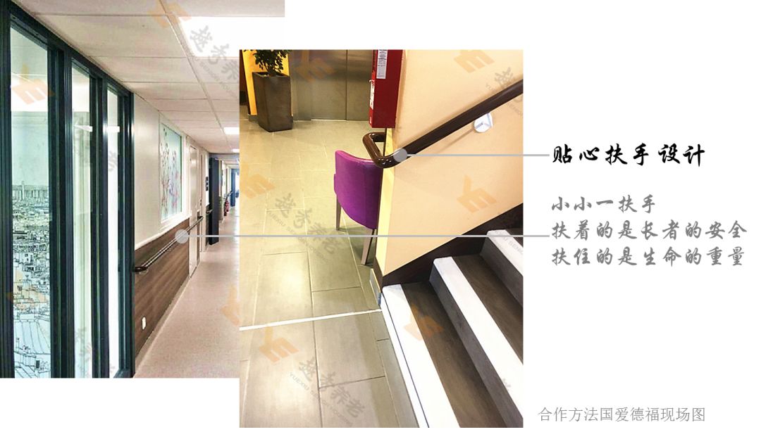 震惊!一群偏执狂竟这么做养老院? 震惊!一群偏执狂竟这么做养老院?